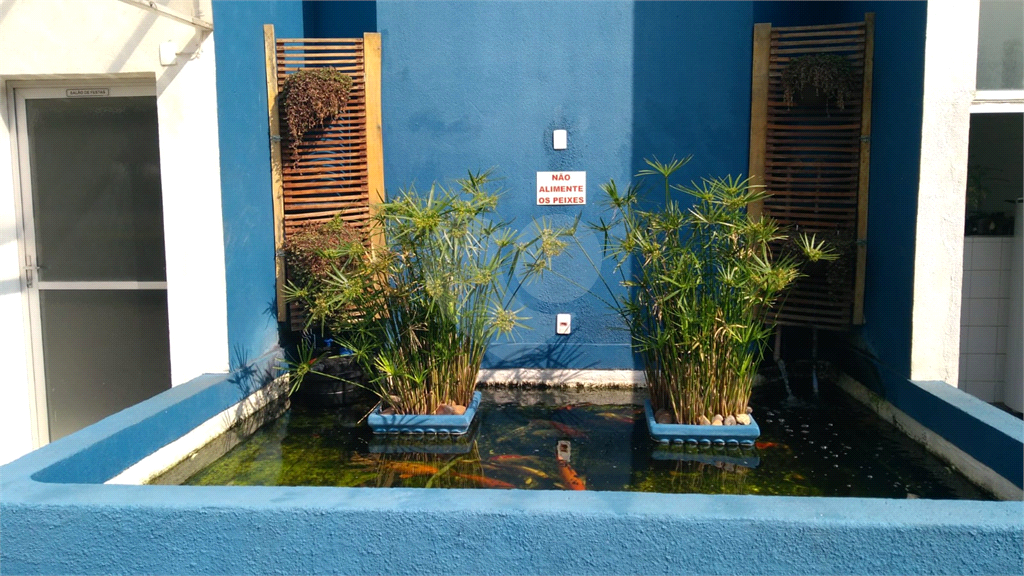 Apartamento localizado no Mandaqui com 2 dormitórios e uma vista deslumbrante.