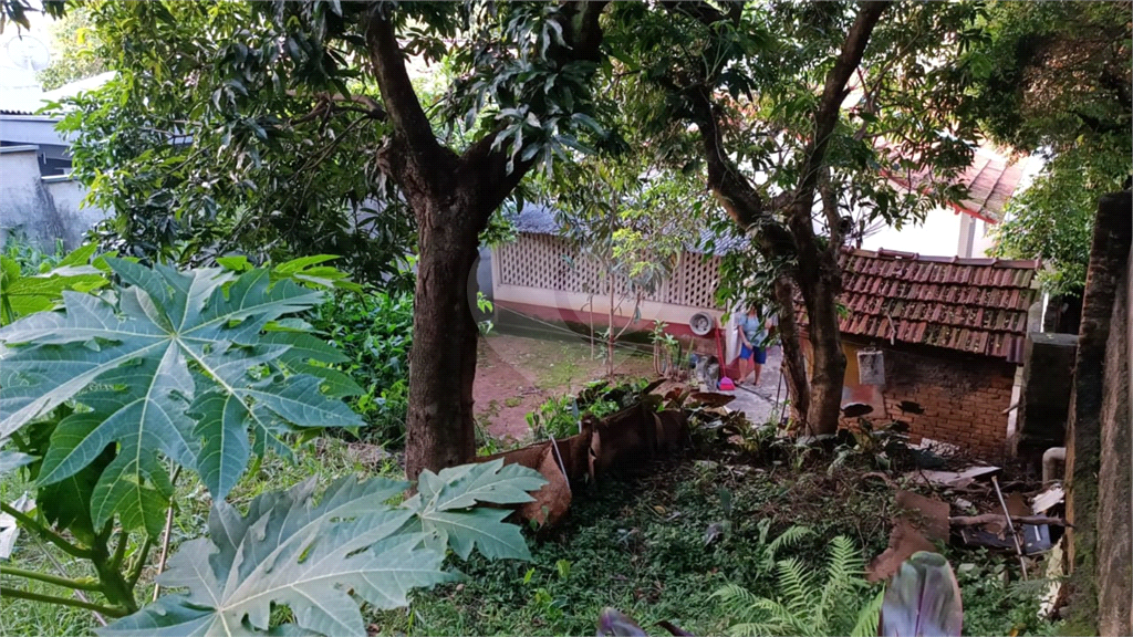 Terreno a Venda em Pirituba