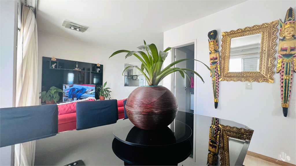 Apartamento com 3 dormitórios em condomínio clube na Vila Guilherme