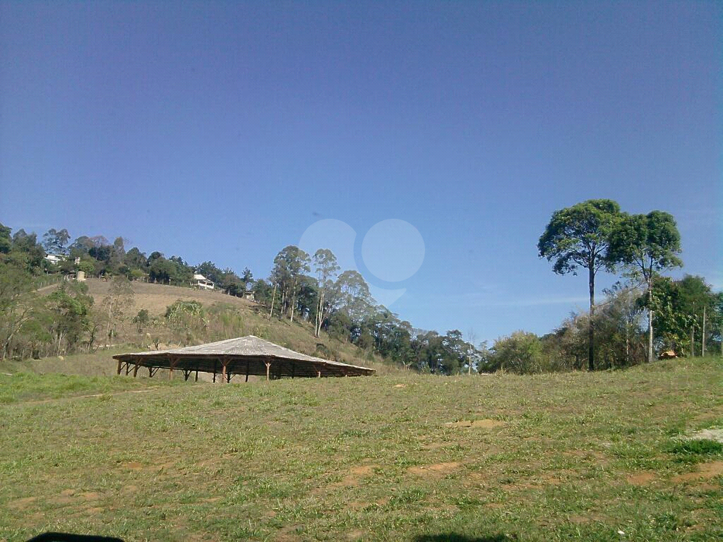 Terreno à venda e aluguel, 12000m² - Foto 5