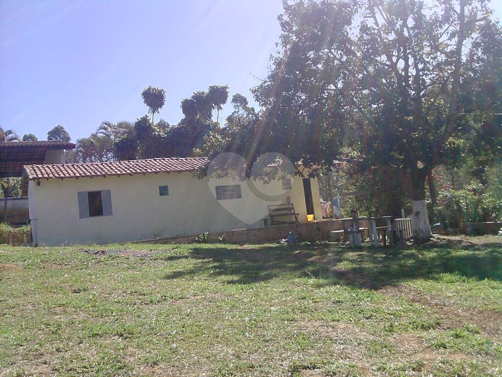 Terreno à venda e aluguel, 12000m² - Foto 6