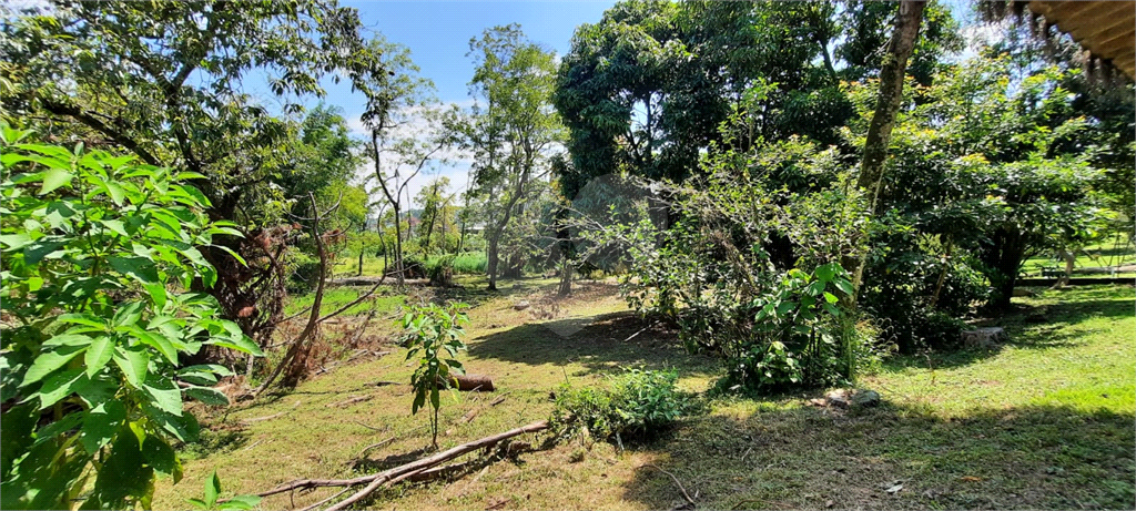 Terreno 24.500 mts²
