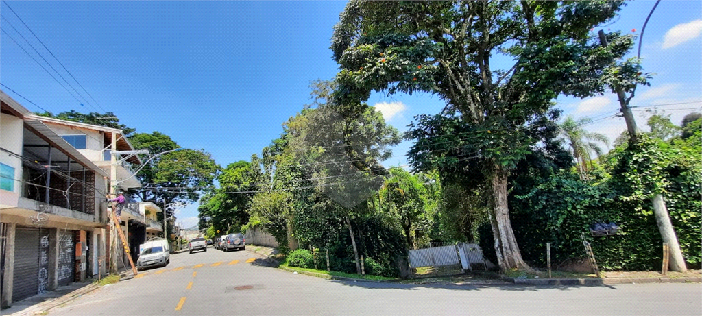 Terreno 24.500 mts²