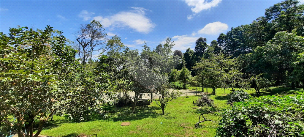 Terreno 24.500 mts²