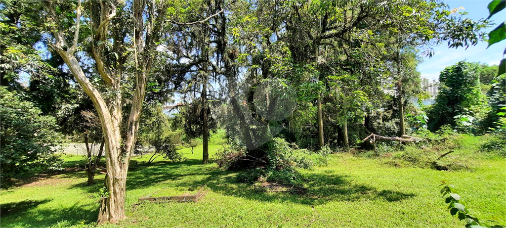Terreno 24.500 mts²