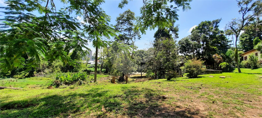 Terreno 24.500 mts²