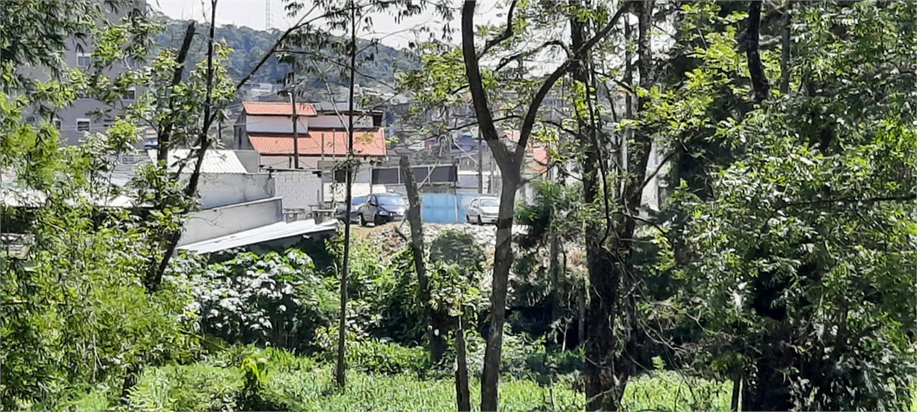 Terreno 24.500 mts²