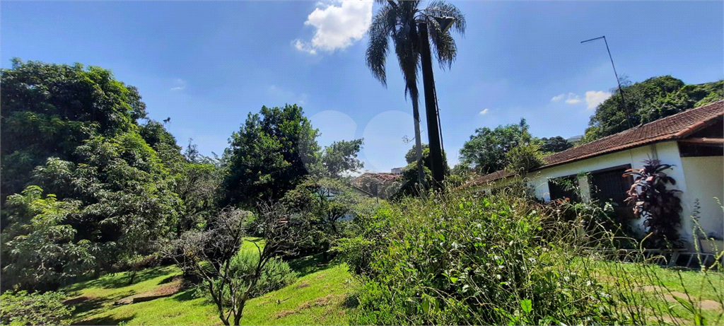 Terreno 24.500 mts²