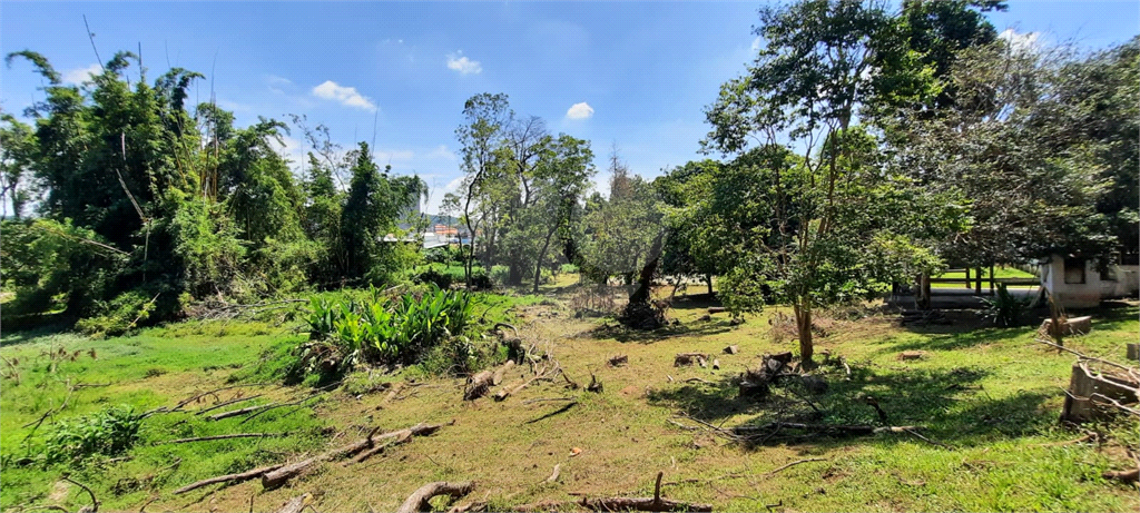 Terreno 24.500 mts²