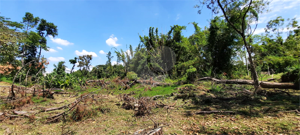 Terreno 24.500 mts²