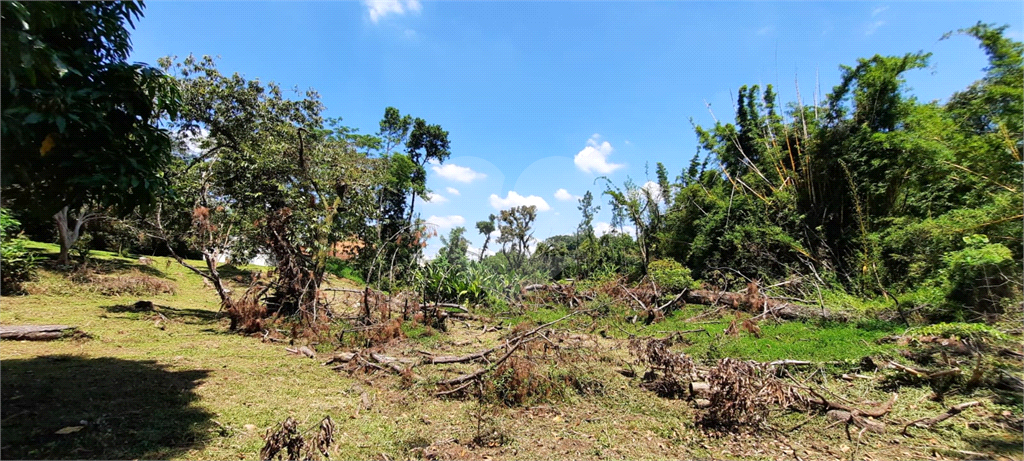 Terreno 24.500 mts²