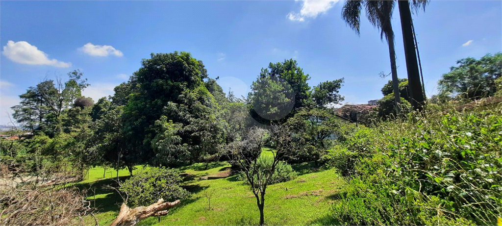 Terreno 24.500 mts²