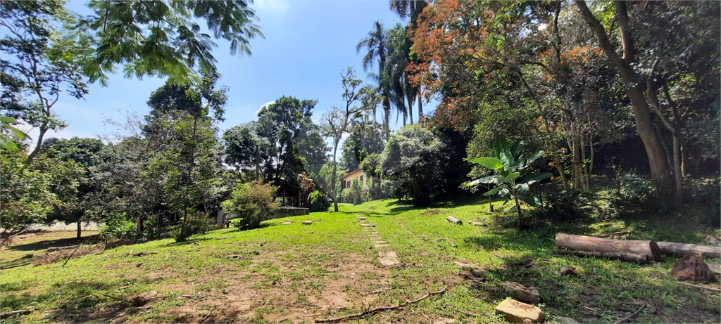 Terreno 24.500 mts²