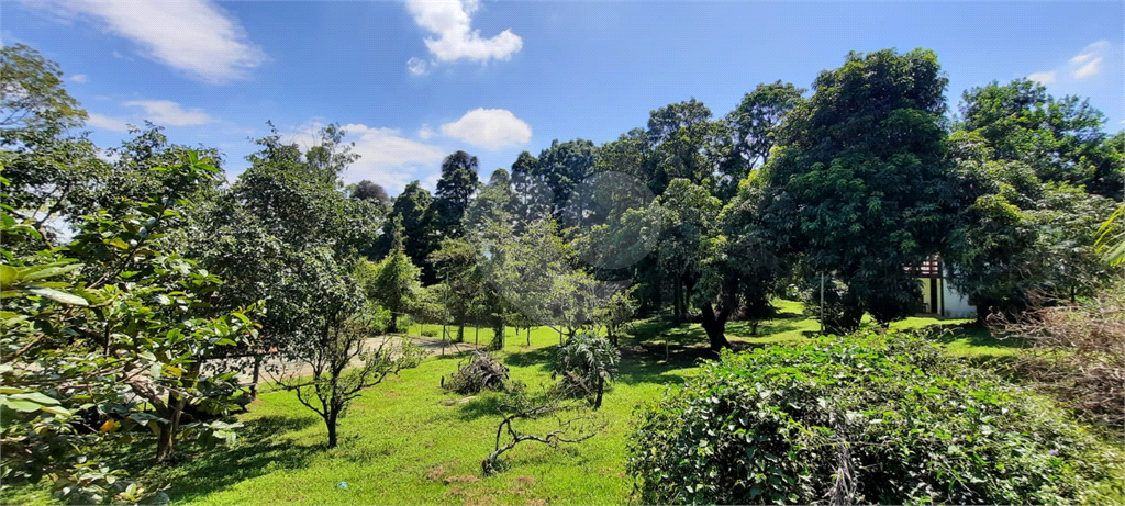 Terreno 24.500 mts²