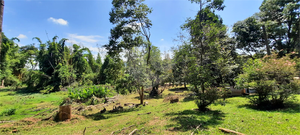 Terreno 24.500 mts²