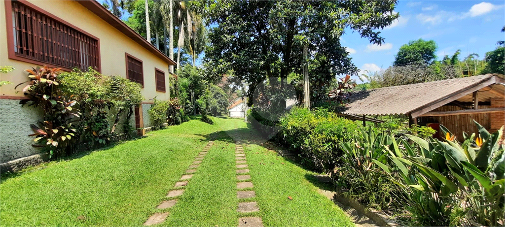 Terreno 24.500 mts²