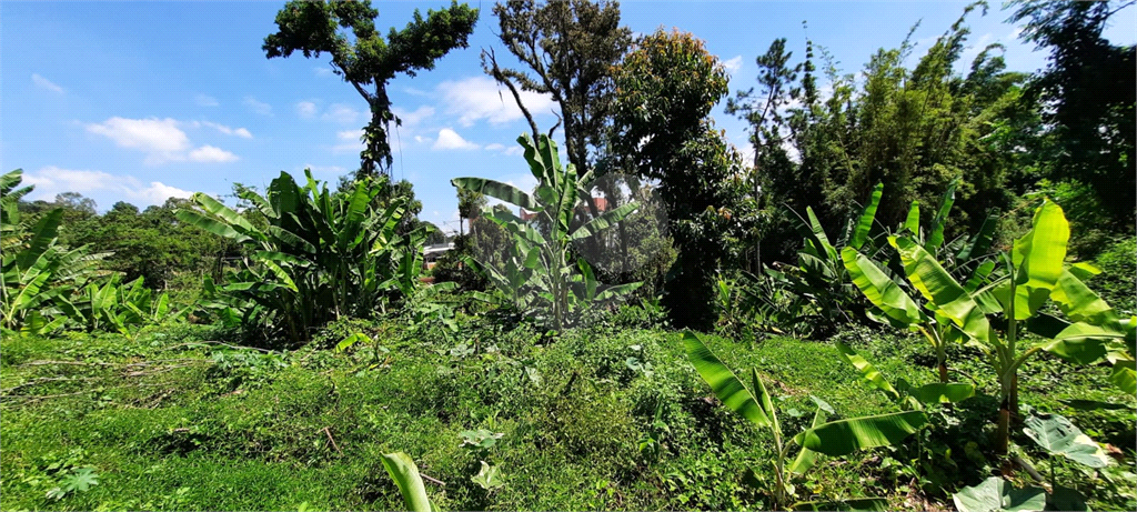 Terreno 24.500 mts²