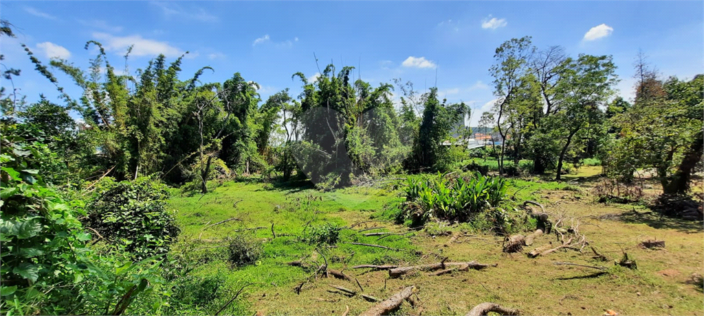 Terreno 24.500 mts²