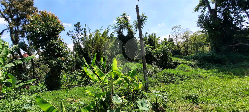 Terreno 24.500 mts²