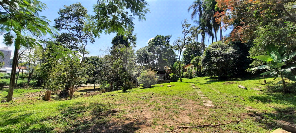 Terreno 24.500 mts²