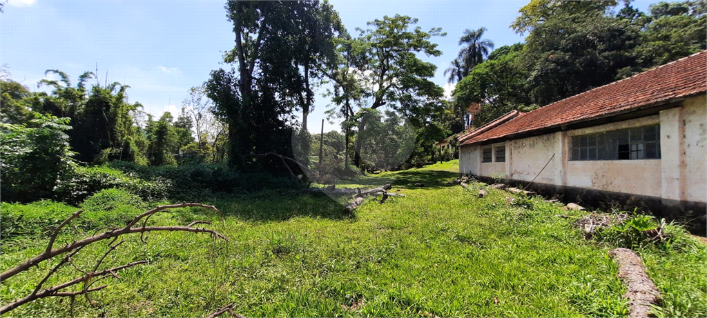 Terreno 24.500 mts²