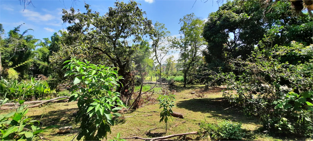 Terreno 24.500 mts²