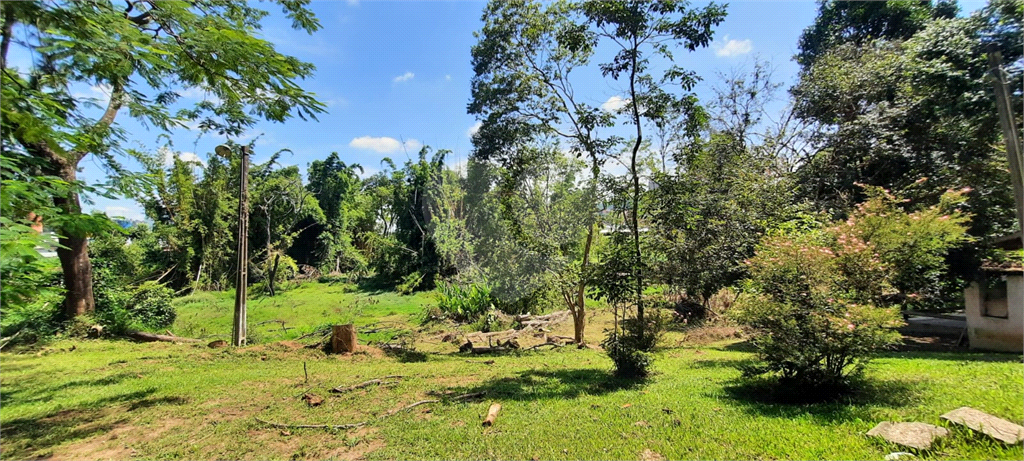 Terreno 24.500 mts²