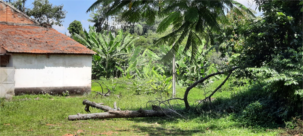Terreno 24.500 mts²