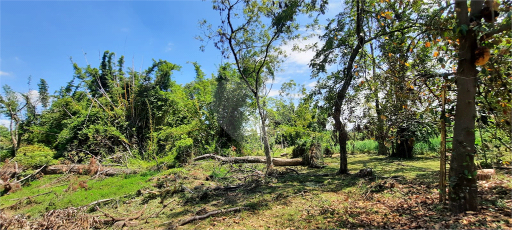 Terreno 24.500 mts²