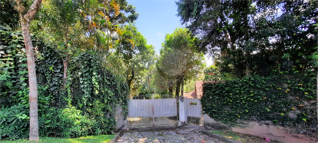 Terreno 24.500 mts²