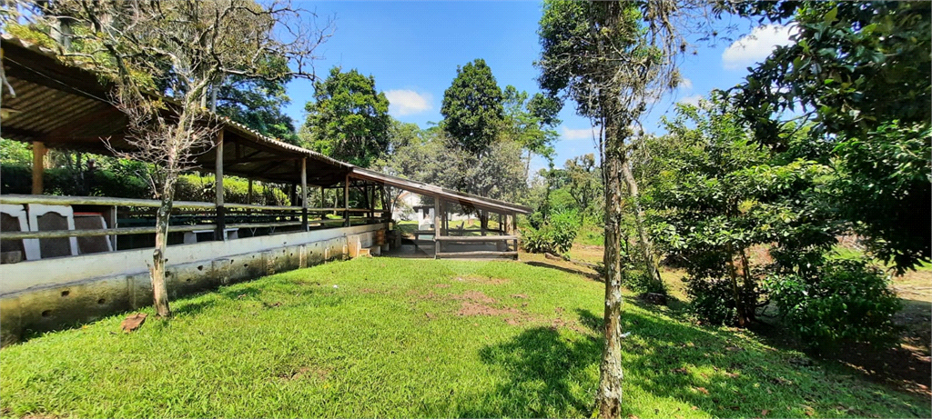 Terreno 24.500 mts²