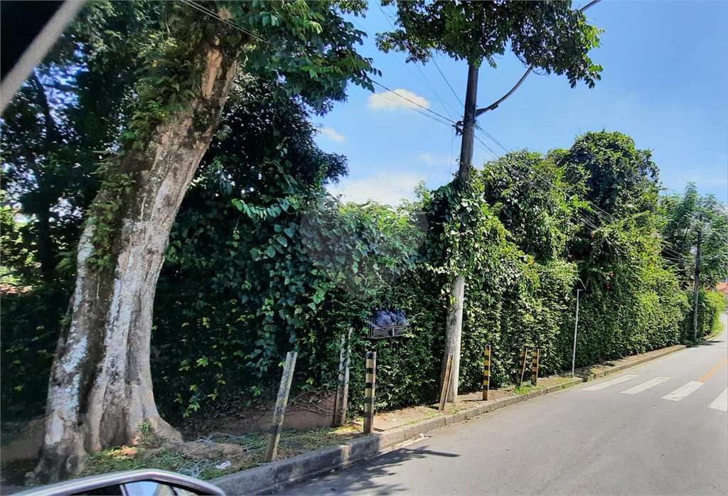 Terreno 24.500 mts²