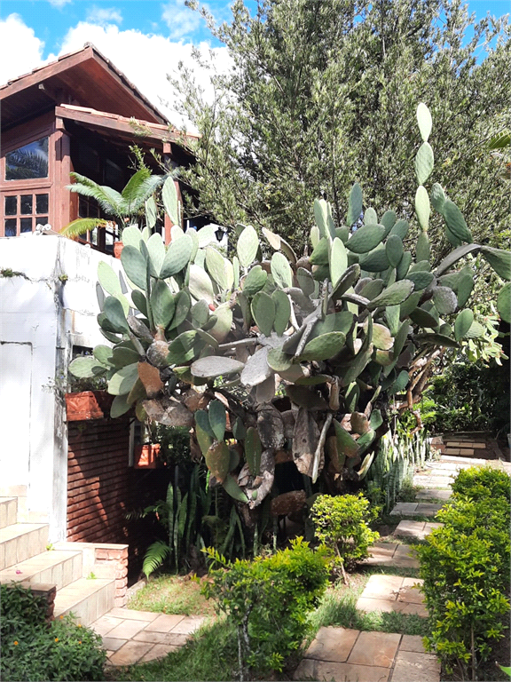 Casa de Condomínio à venda com 3 quartos, 1000m² - Foto 26