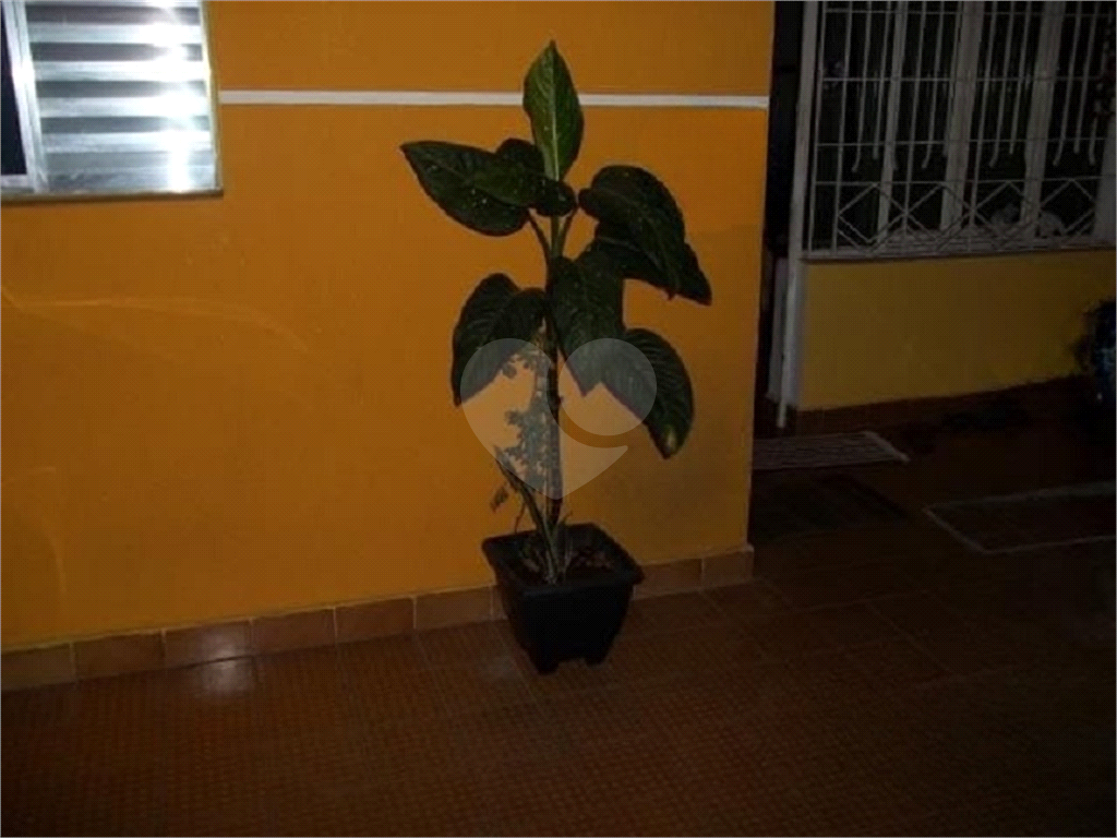 CASA em CAPUAVA