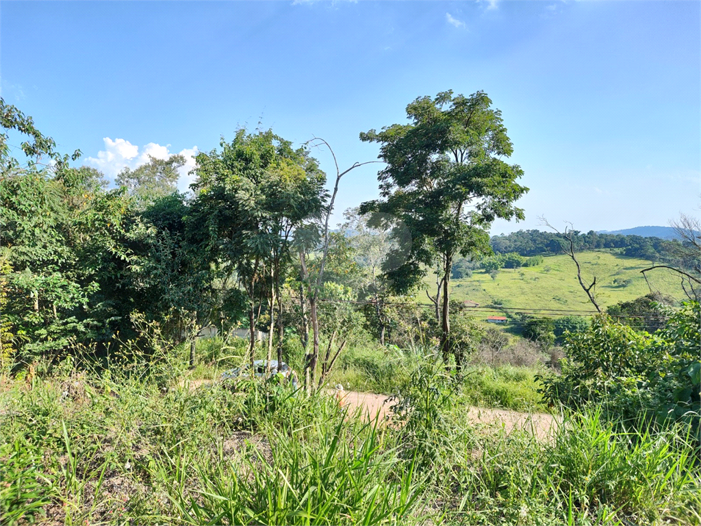 Terreno à venda, 250m² - Foto 6