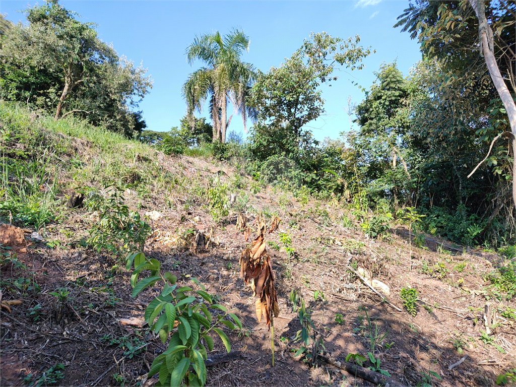 Terreno à venda, 250m² - Foto 3