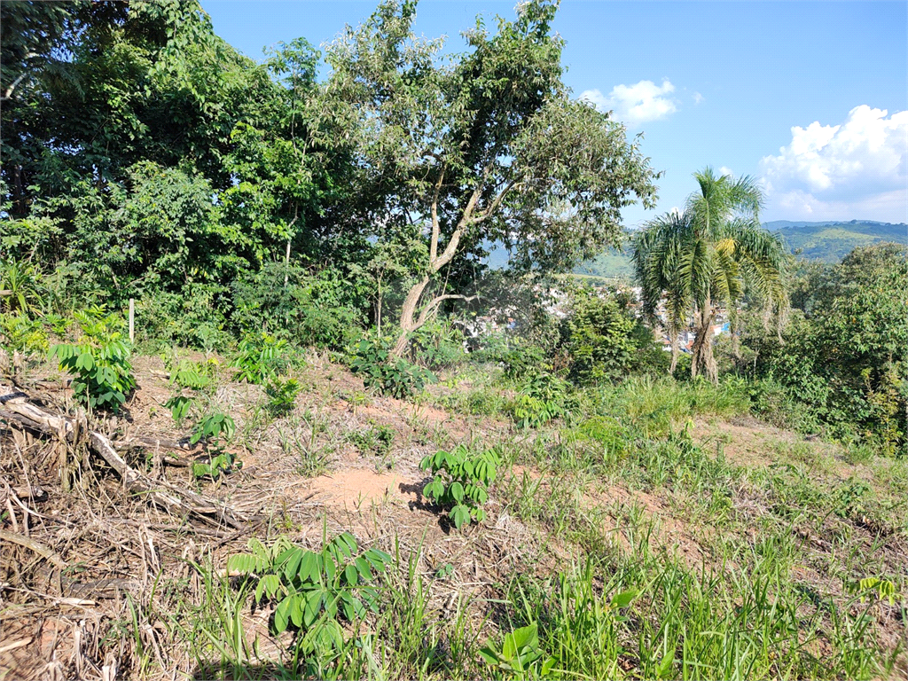 Terreno à venda, 250m² - Foto 10