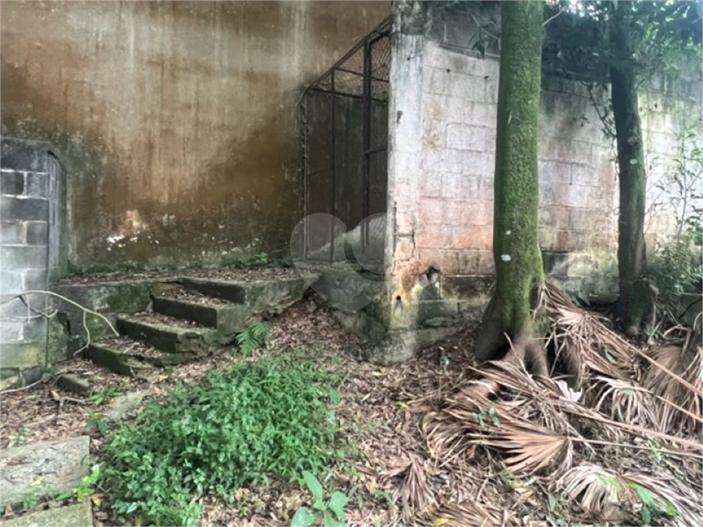 Vendo Terreno de 290m2 rua do Horto para sua casa ou investimento 