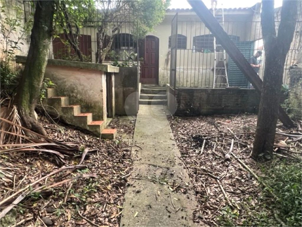 Vendo Terreno de 290m2 rua do Horto para sua casa ou investimento 