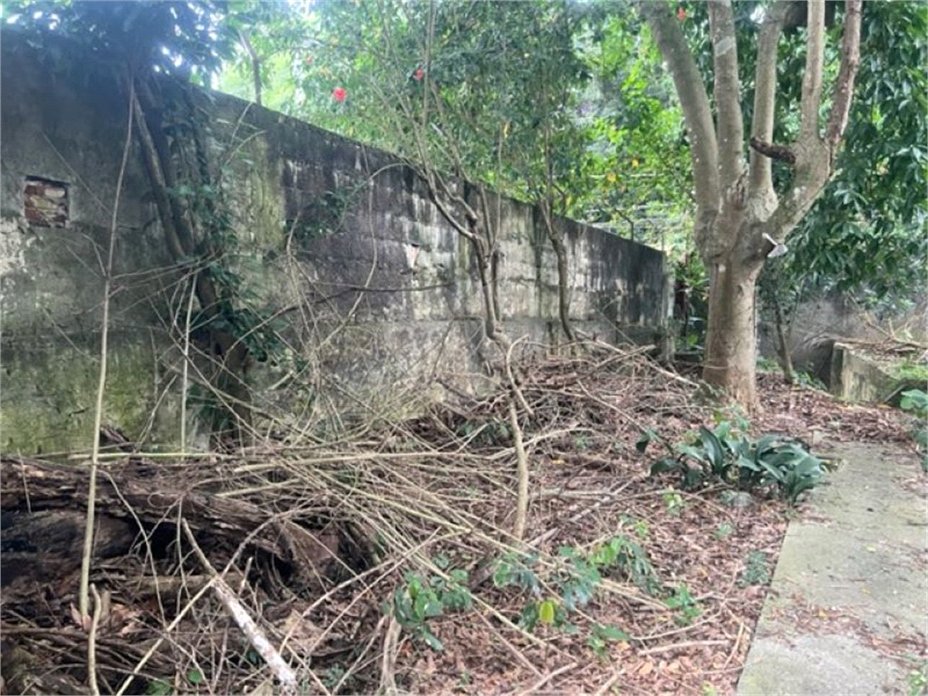 Vendo Terreno de 290m2 rua do Horto para sua casa ou investimento 