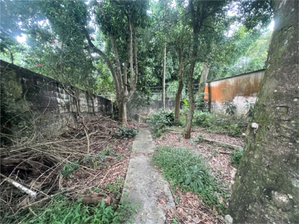 Vendo Terreno de 290m2 rua do Horto para sua casa ou investimento 