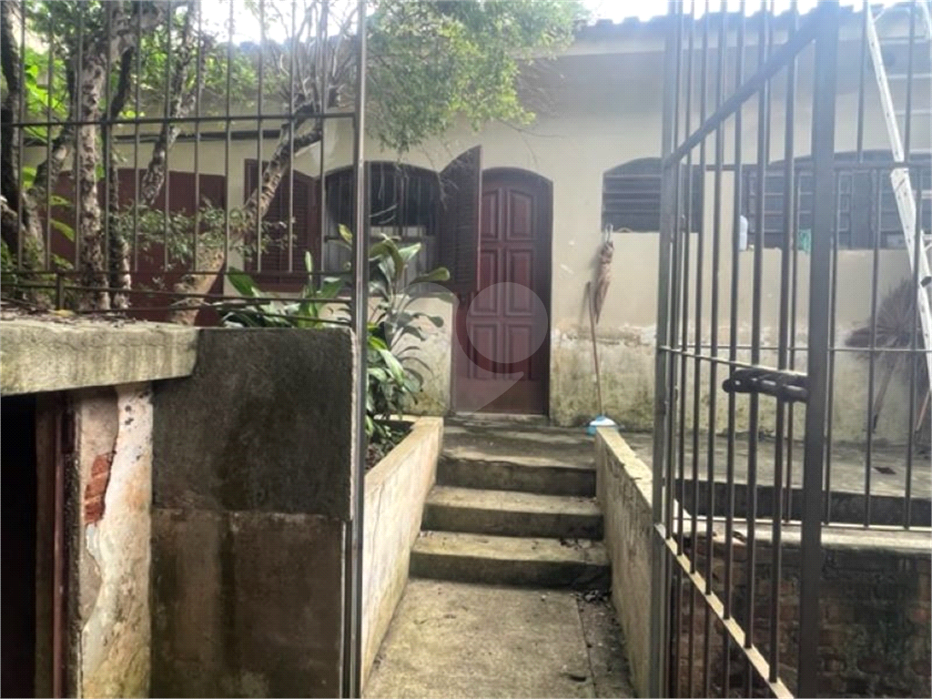 Vendo Terreno de 290m2 rua do Horto para sua casa ou investimento 