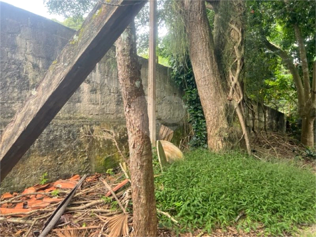 Vendo Terreno de 290m2 rua do Horto para sua casa ou investimento 