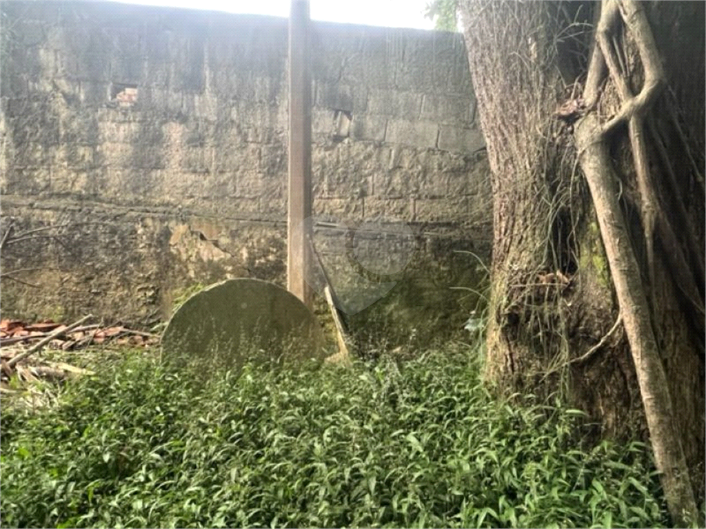 Vendo Terreno de 290m2 rua do Horto para sua casa ou investimento 