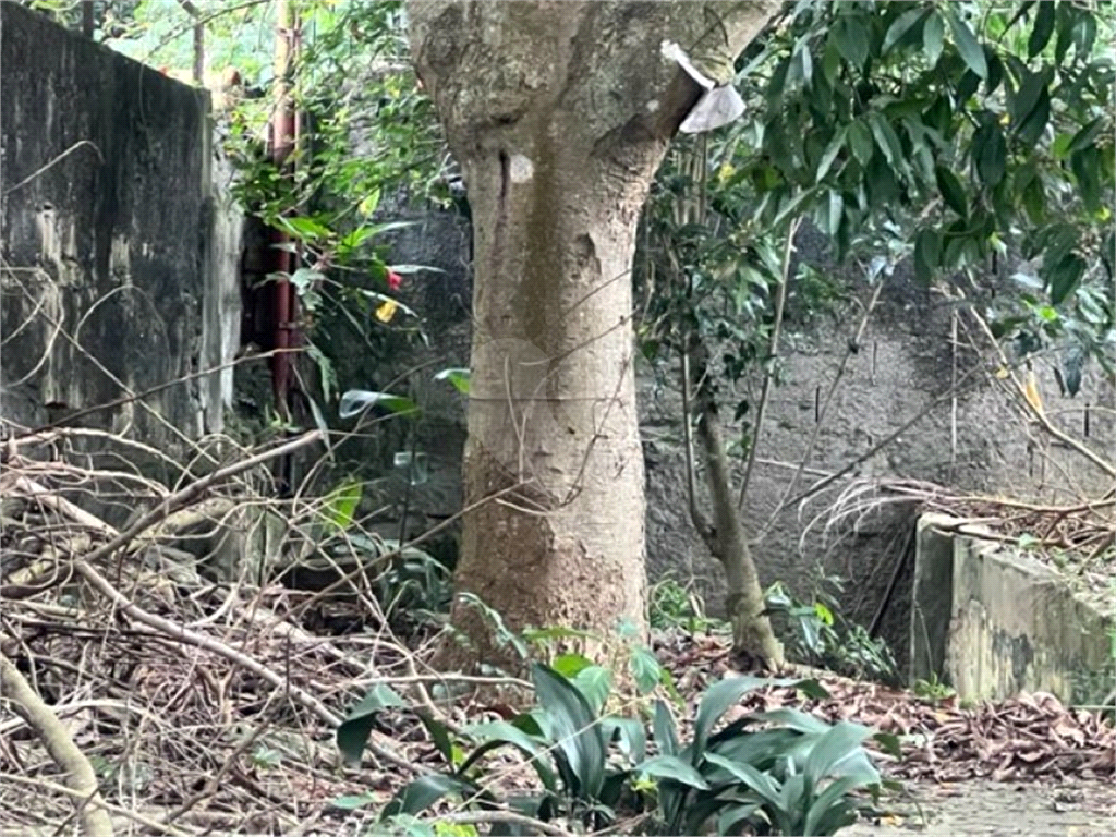 Vendo Terreno de 290m2 rua do Horto para sua casa ou investimento 