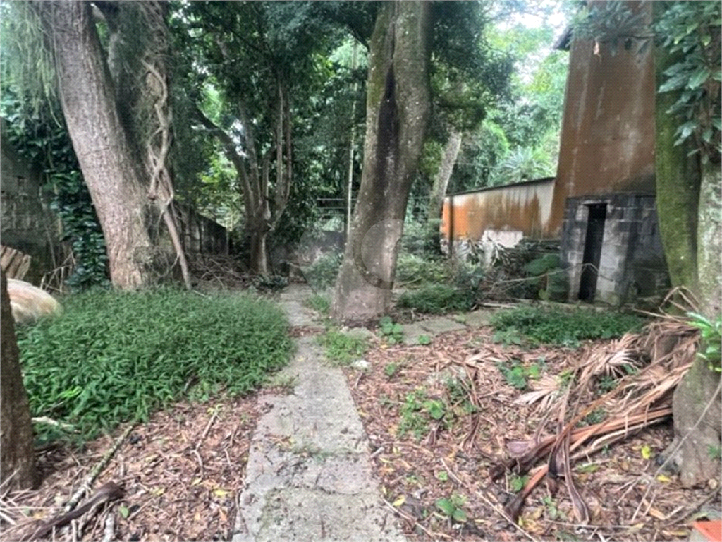 Vendo Terreno de 290m2 rua do Horto para sua casa ou investimento 