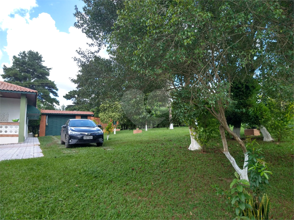 Chácara à venda com 3 quartos, 6000m² - Foto 191