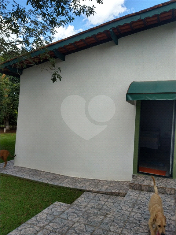 Chácara à venda com 3 quartos, 6000m² - Foto 168
