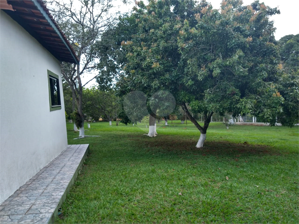 Chácara à venda com 3 quartos, 6000m² - Foto 182