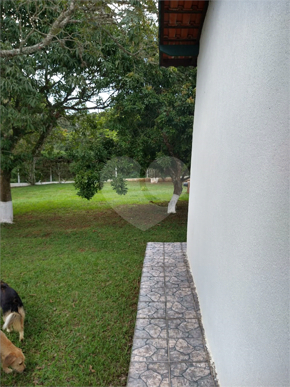 Chácara à venda com 3 quartos, 6000m² - Foto 170